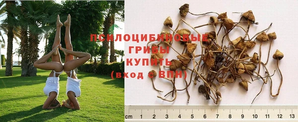 MDMA Баксан