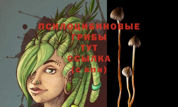 MDMA Баксан