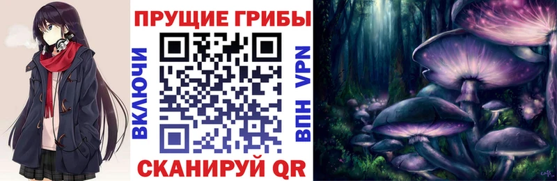 купить наркотики цена  мега ТОР  Псилоцибиновые грибы Magic Shrooms  Свирск 